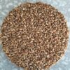 Red Fife Wheat Berries